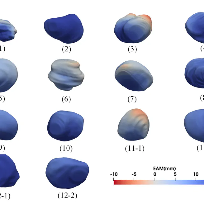 Tumor Coverage Evaluation